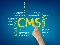 Обзор CMS (Content Management System). Основная цель CMS, SEO-специалисту, web-ресурс, система управления, движок, платформа или конструктор.