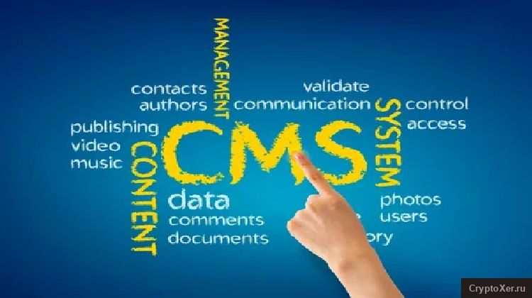 Обзор CMS (Content Management System). Основная цель CMS, SEO-специалисту, web-ресурс, система  ...